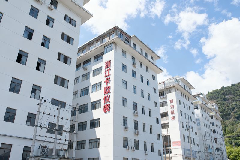 Zhejiang Kaou Instrument Co., Ltd.